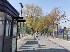 篮球场-回龙观体育文化公园