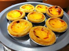 -龍歌自助小火锅(李沧顺和汇店)