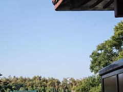 -湖畔居茶楼(湖滨店)