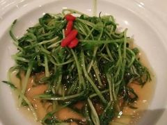 -上海柏悦酒店