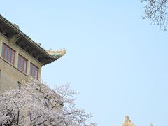 -武汉大学-樱园