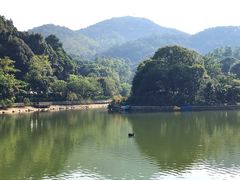 -广州市帽峰山景区