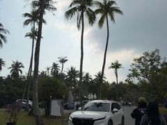 -东郊椰林