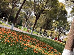 -上海鲜花港