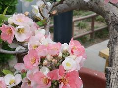 -陶然亭公园
