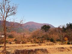 -塔川景区