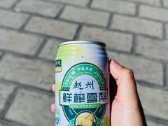 -赵州桥景区