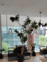 -悦SALON