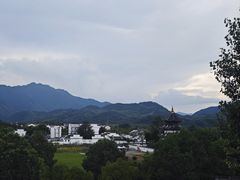 -黄牛肉馆·皖南土菜