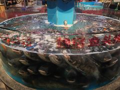 -魏铭鱼头捞饭(晋阳路店)