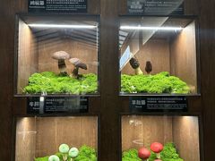 -菌自由丨野生菌火锅特色庭院餐厅(丽江古城店)