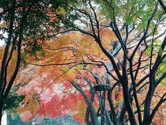 -上海市保健医疗中心