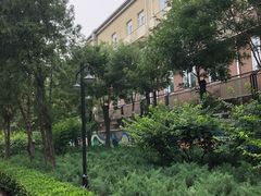 -黄村公园