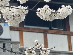 -平安桥天主教堂