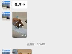 -半岛宠物医院24小时(西派城店)