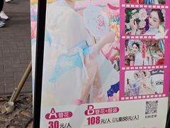 -荷兰花海