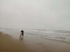 -东海岛旅游度假区