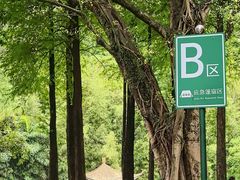 -晓港公园
