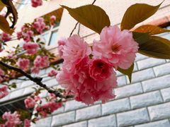 -北京邮电大学