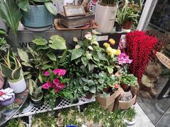 -FEI FEI FLOWER鲜花店·气球派对·宝宝宴布置(虹口德必运动Loft店)