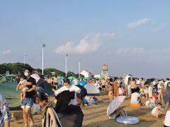 -碧海金沙