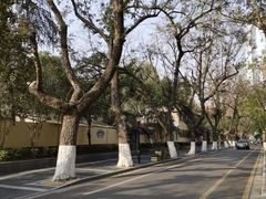 -颐和路民国时期公馆风貌区