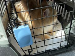 -心仪动物医院·牙专科·肿瘤·心脏科(西客站院)