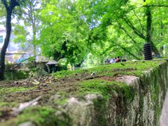 -西溪南古村落景区