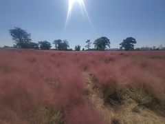 -汉长安城未央宫国家考古遗址公园