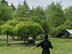 -洛阳郁金香牡丹园