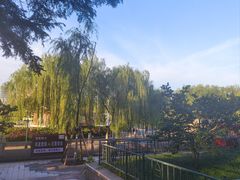 -泉城广场