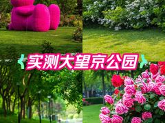-大望京公园