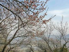 -北京鹫峰国家森林公园