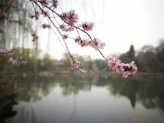 -北京大学赛克勒考古与艺术博物馆