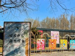 -同里国家湿地公园