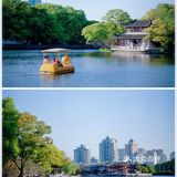 游宁波「景」令人流连忘返富有历史底蕴和人文景观的城市湖泊公园