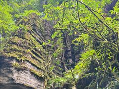 -梭布垭石林景区