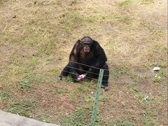 -石家庄市动物园