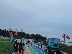 -贡湖湾湿地公园
