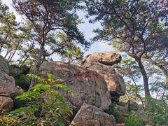 -崂山仰口游览区