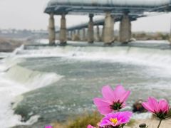 -绿堤公园