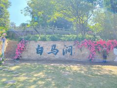 -白马涧龙池景区