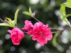 -广西大学(大学东路校区)