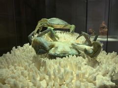 -福建省非物质文化遗产博览苑