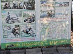 -大塘金香草谷
