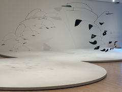 -旧金山现代艺术博物馆