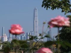 -香蜜公园