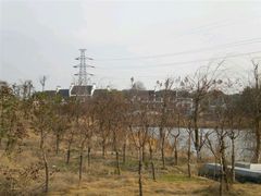 -八大山人游乐世界