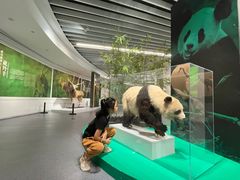-中国湿地博物馆