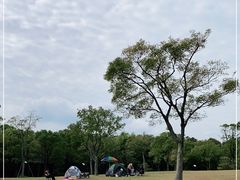 -上海吴淞炮台湾国家湿地公园